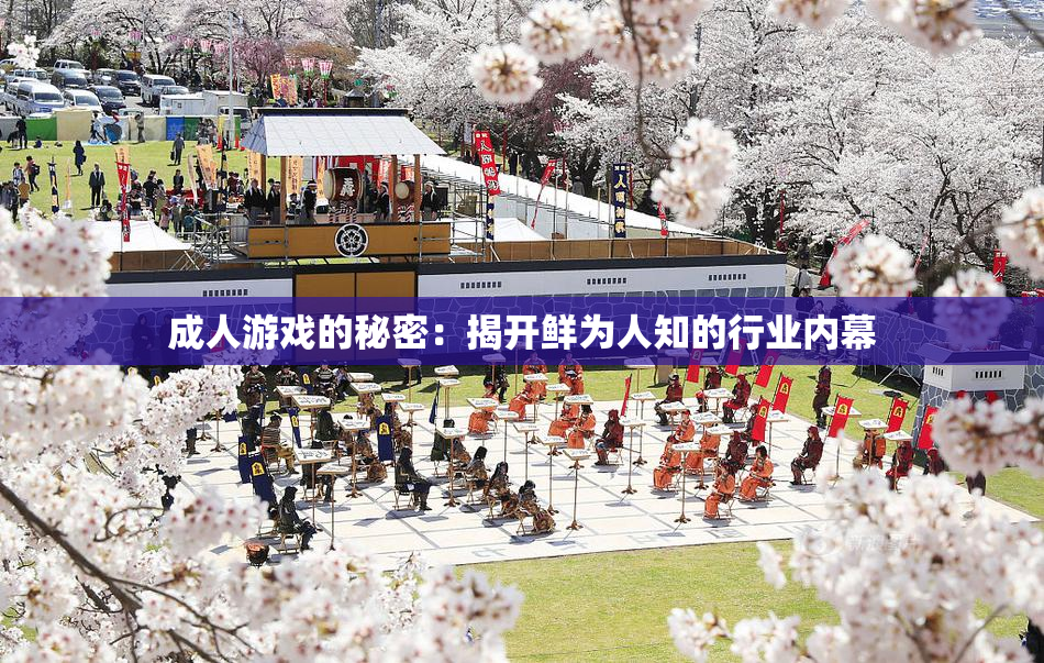 成人游戏的秘密：揭开鲜为人知的行业内幕