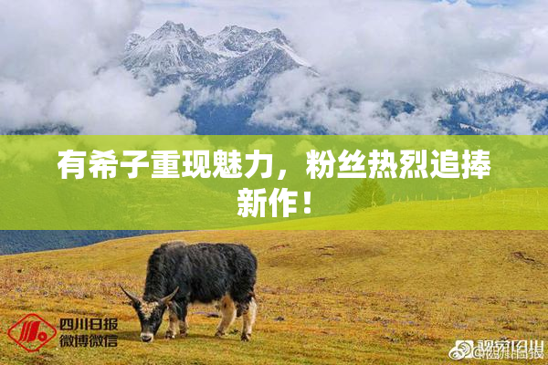 有希子重现魅力，粉丝热烈追捧新作！