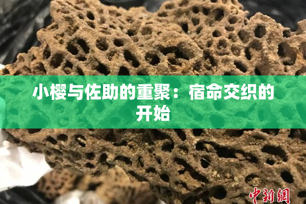 小樱与佐助的重聚：宿命交织的开始
