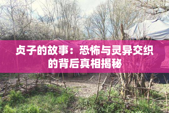 贞子的故事：恐怖与灵异交织的背后真相揭秘