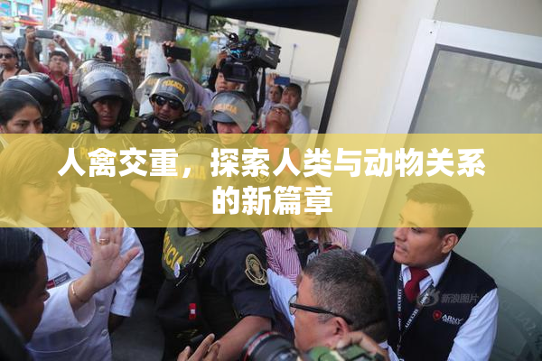 人禽交重，探索人类与动物关系的新篇章