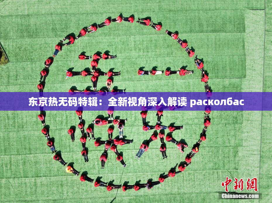 东京热无码特辑：全新视角深入解读 расколбас