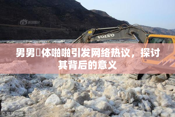 男男祼体啪啪引发网络热议，探讨其背后的意义