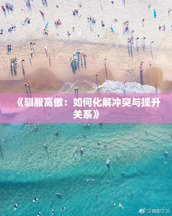 《驯服高傲：如何化解冲突与提升关系》