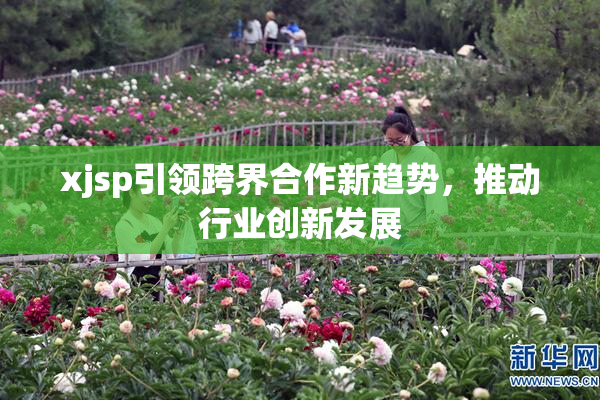 xjsp引领跨界合作新趋势，推动行业创新发展