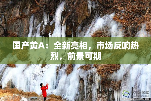 国产黄A：全新亮相，市场反响热烈，前景可期