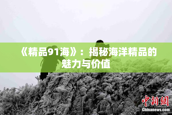《精品91海》：揭秘海洋精品的魅力与价值