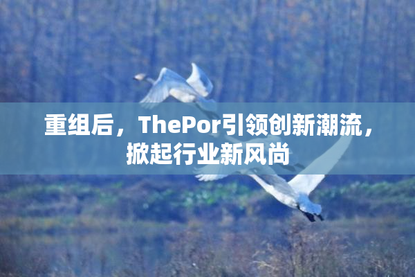 重组后，ThePor引领创新潮流，掀起行业新风尚
