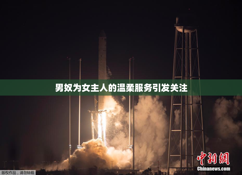 男奴为女主人的温柔服务引发关注