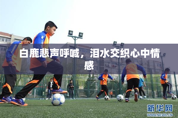白鹿悲声呼喊，泪水交织心中情感
