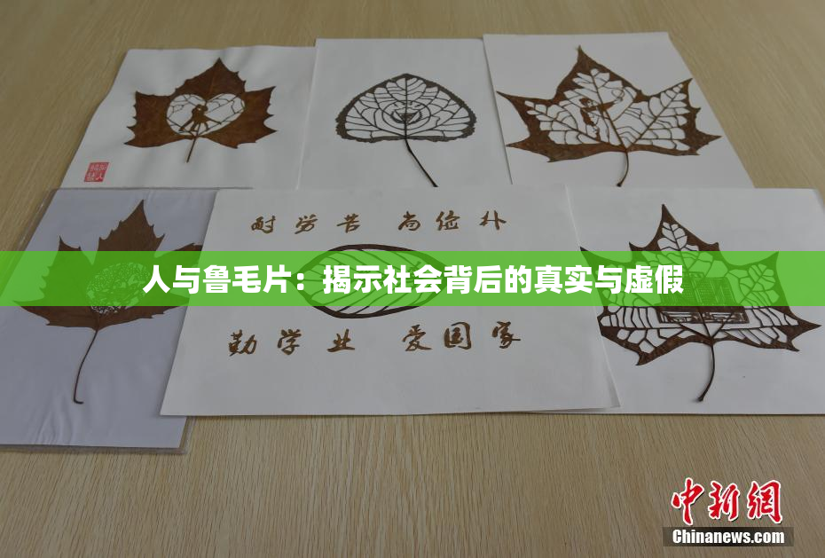 人与鲁毛片：揭示社会背后的真实与虚假