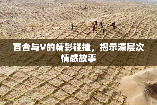百合与V的精彩碰撞，揭示深层次情感故事