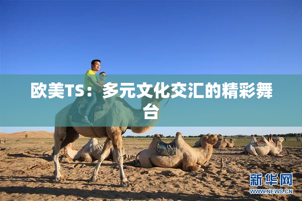 欧美TS：多元文化交汇的精彩舞台