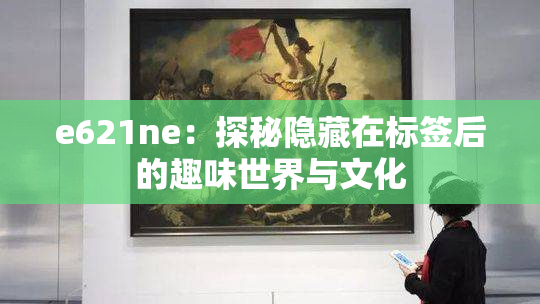 e621ne：探秘隐藏在标签后的趣味世界与文化