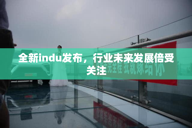 全新indu发布，行业未来发展倍受关注