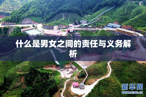 什么是男女之间的责任与义务解析