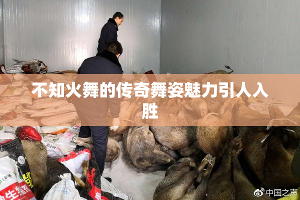 不知火舞的传奇舞姿魅力引人入胜