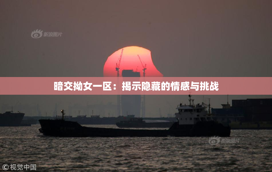 暗交拗女一区：揭示隐藏的情感与挑战