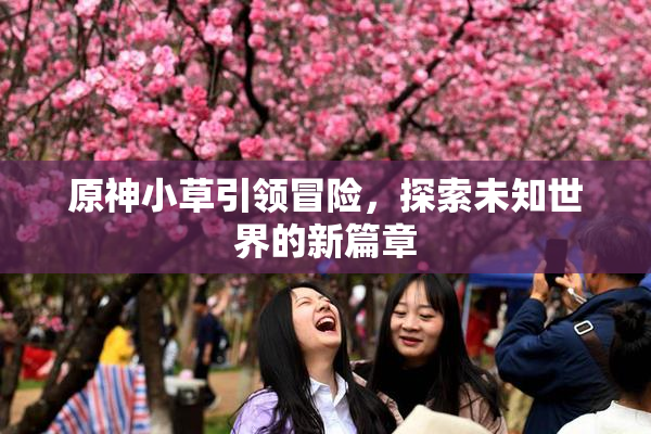 原神小草引领冒险，探索未知世界的新篇章