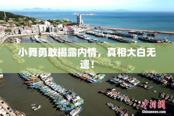 小舞勇敢揭露内情，真相大白无遗！