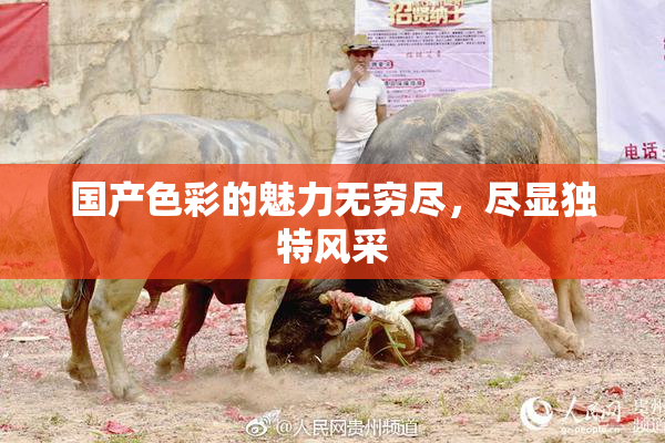国产色彩的魅力无穷尽，尽显独特风采