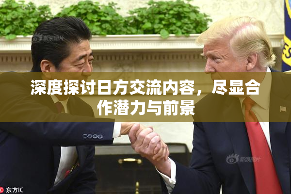 深度探讨日方交流内容，尽显合作潜力与前景