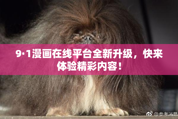 9·1漫画在线平台全新升级，快来体验精彩内容！