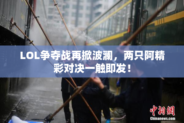 LOL争夺战再掀波澜，两只阿精彩对决一触即发！