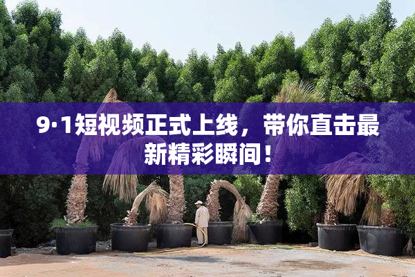 9·1短视频正式上线，带你直击最新精彩瞬间！