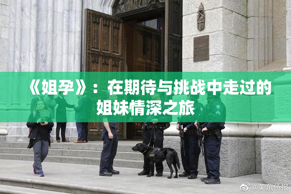 《姐孕》：在期待与挑战中走过的姐妹情深之旅
