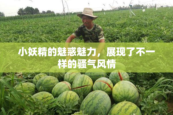小妖精的魅惑魅力，展现了不一样的骚气风情