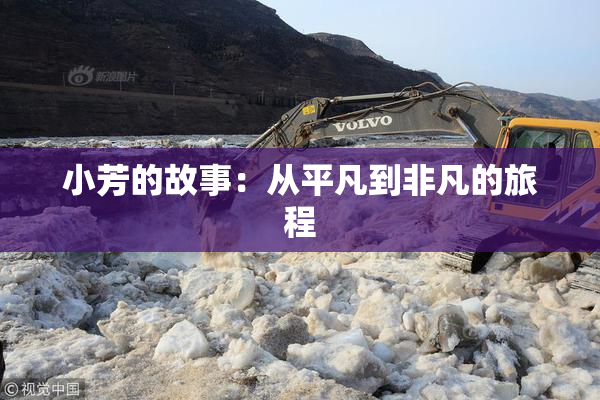 小芳的故事：从平凡到非凡的旅程