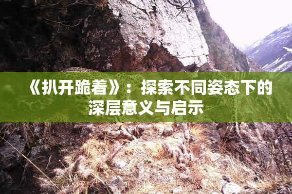 《扒开跪着》：探索不同姿态下的深层意义与启示