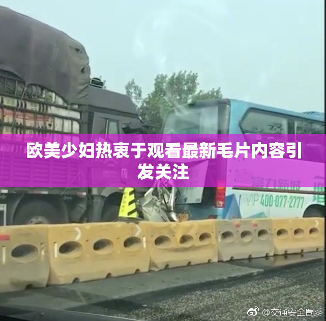 欧美少妇热衷于观看最新毛片内容引发关注