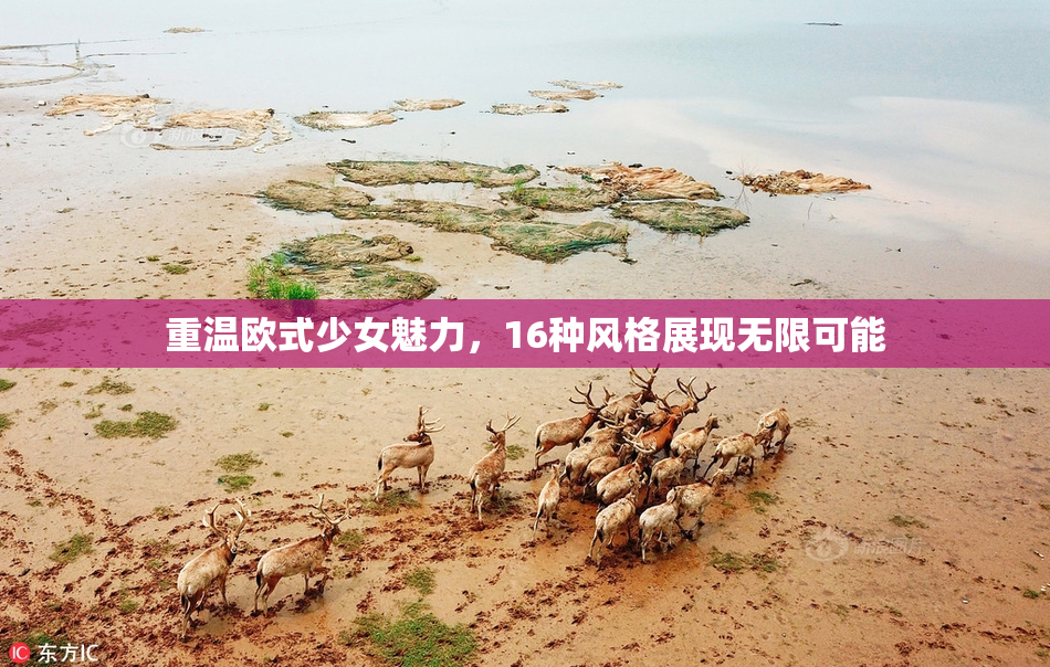 重温欧式少女魅力，16种风格展现无限可能