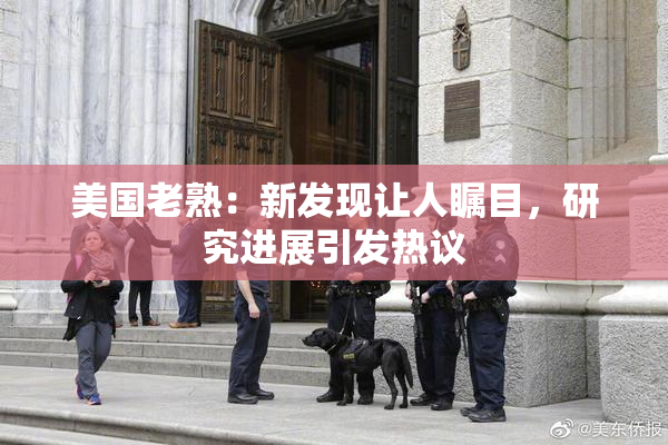美国老熟：新发现让人瞩目，研究进展引发热议
