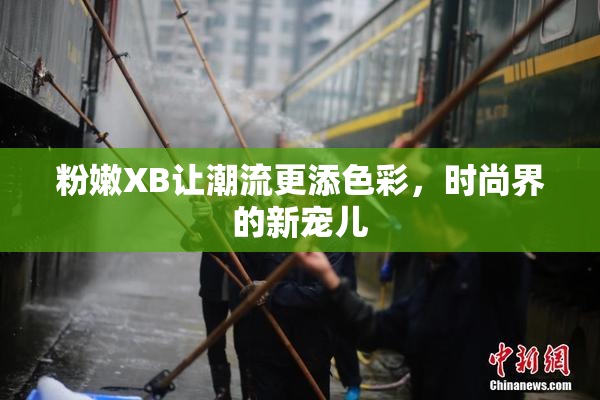 粉嫩XB让潮流更添色彩，时尚界的新宠儿