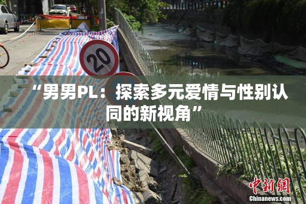 “男男PL：探索多元爱情与性别认同的新视角”