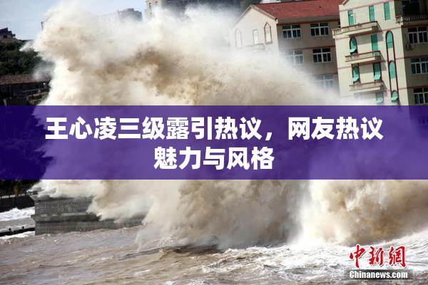 王心凌三级露引热议，网友热议魅力与风格