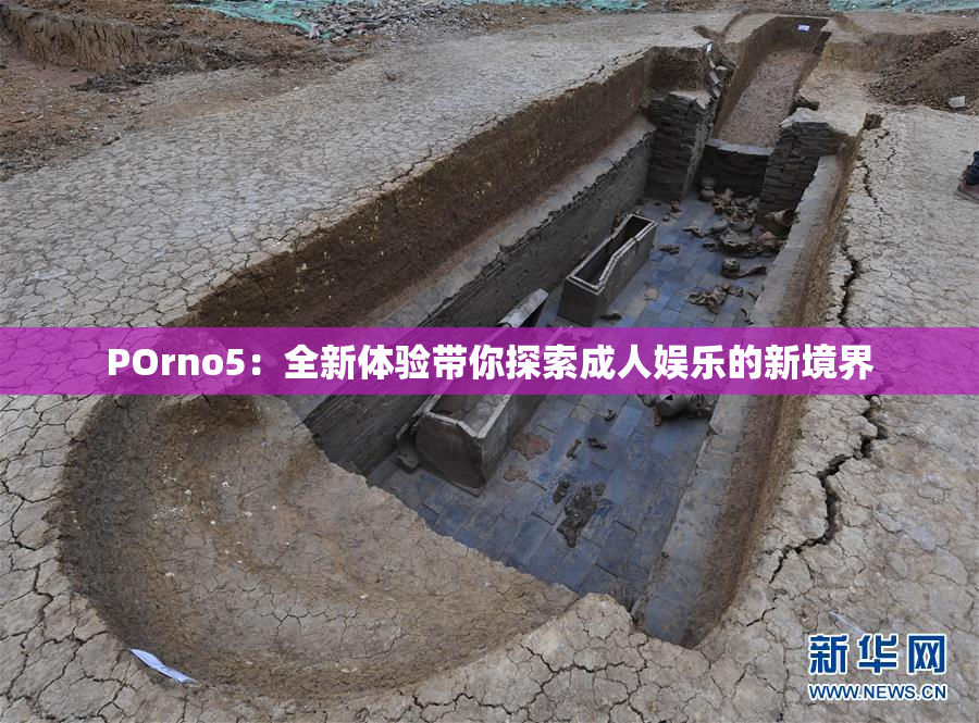POrno5：全新体验带你探索成人娱乐的新境界