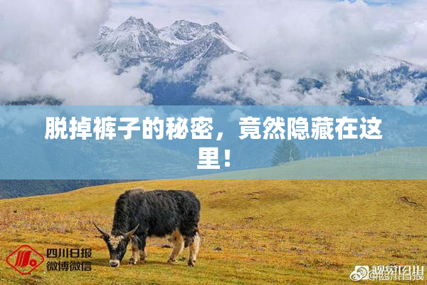 脱掉裤子的秘密，竟然隐藏在这里！