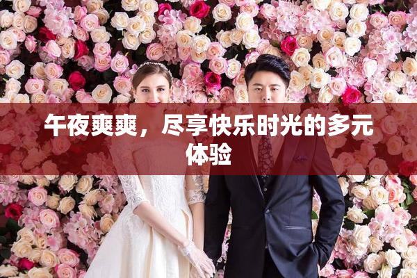 午夜爽爽，尽享快乐时光的多元体验