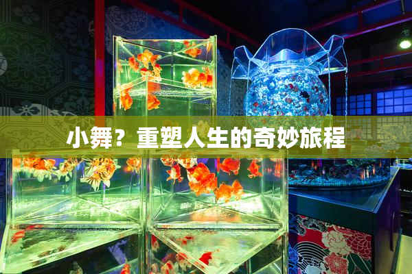 小舞？重塑人生的奇妙旅程