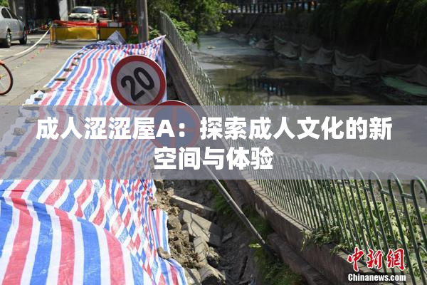 成人涩涩屋A：探索成人文化的新空间与体验