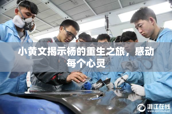小黄文揭示杨的重生之旅，感动每个心灵