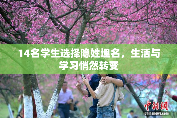 14名学生选择隐姓埋名，生活与学习悄然转变