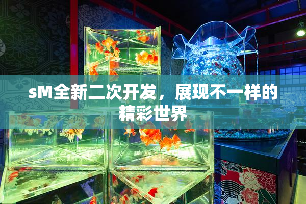 sM全新二次开发，展现不一样的精彩世界