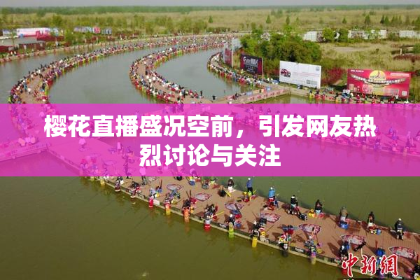 樱花直播盛况空前，引发网友热烈讨论与关注