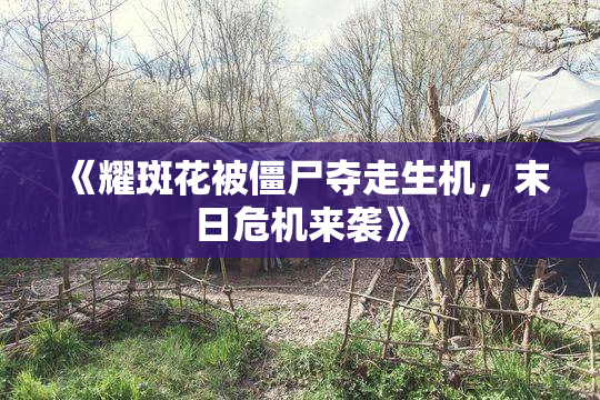 《耀斑花被僵尸夺走生机，末日危机来袭》