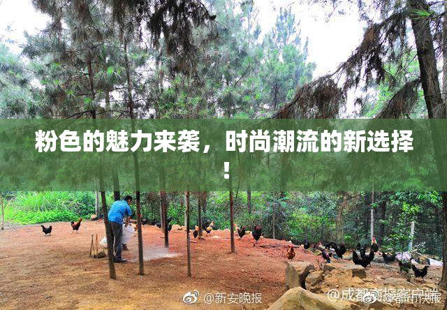 粉色的魅力来袭，时尚潮流的新选择！